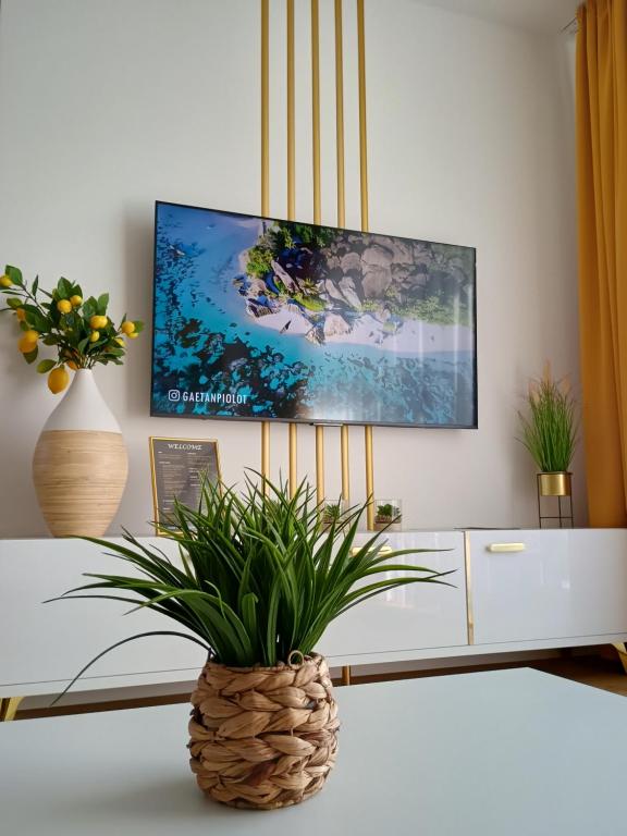 プレショフにあるA&M Apartments - brand new luxury & business apartment Solny Potokのリビングルーム(テレビ、テーブル上の植物付)