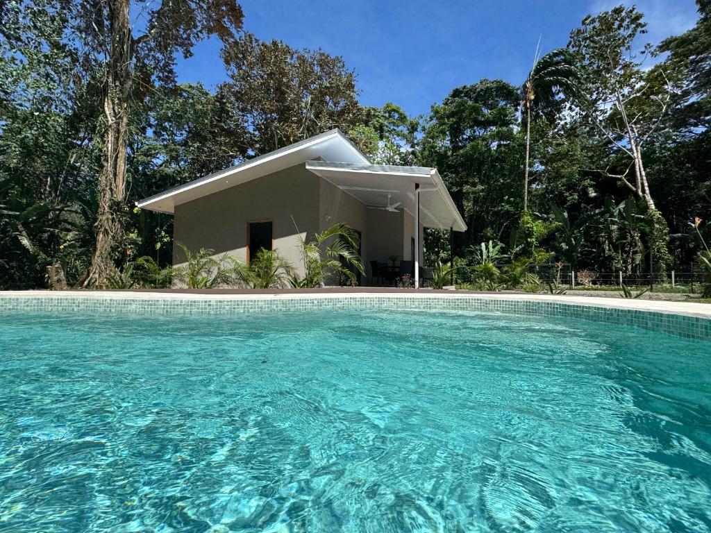 une piscine devant une maison dans l'établissement Casa Andersson - Your Caribbean House with Pool, à Puerto Limón