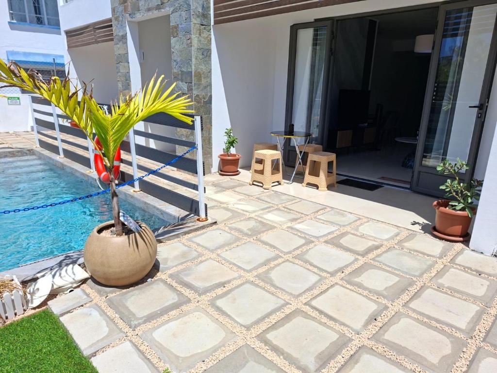 a potted plant sitting on a patio next to a pool at Freesia Apartment 3 by Mau-Rent Houses in Trou aux Biches