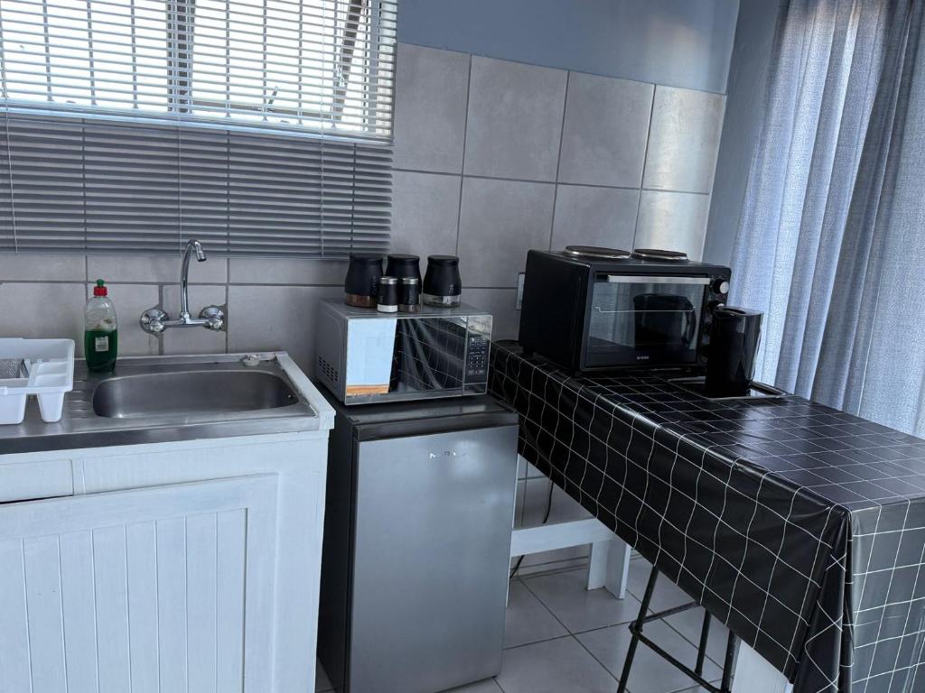 モッセル・ベイにあるLion's Cave 2のシンクと電子レンジのある小さなキッチン