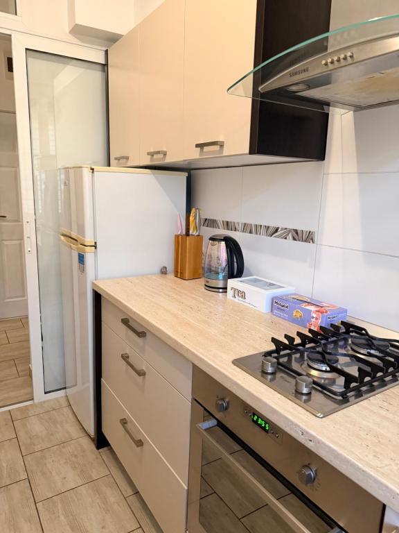 eine Küche mit Herd Top-Backofen neben einem Kühlschrank in der Unterkunft Cozy Apartment 150 m from Târgu Mureș Hospital in Târgu Mureș