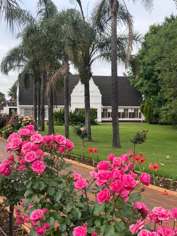a bunch of pink roses in front of a house at Madeley House Unit 2 near Oliver Tambo Airport in Boksburg