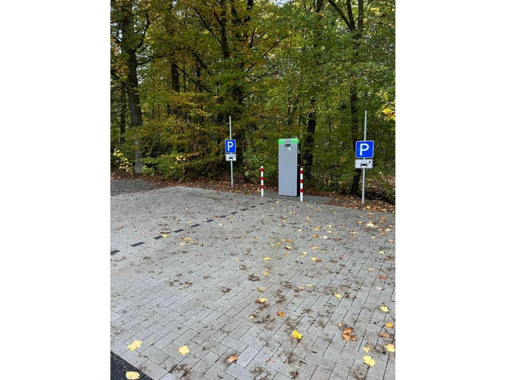a parking lot with a bunch of leaves on the ground at Twistesee Ferienhaus 2 in Wetterburg