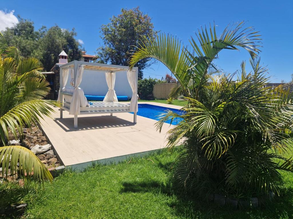 Un jardín con un columpio junto a una piscina. en Casa Deco, en San Borondón
