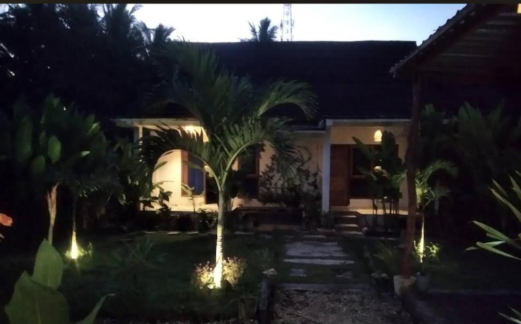 a house with a palm tree in the yard at night at Najwahomestay in Lombok International Airport