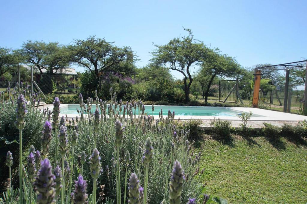 Swimmingpoolen hos eller tæt på AGUAPÉ - Alojamiento rural con PILETA - hasta 4 huéspedes