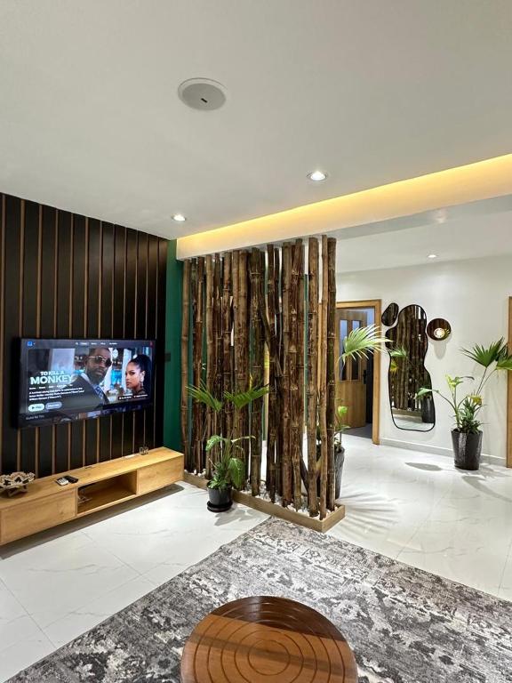 TV/trung tâm giải trí tại Livele maitama