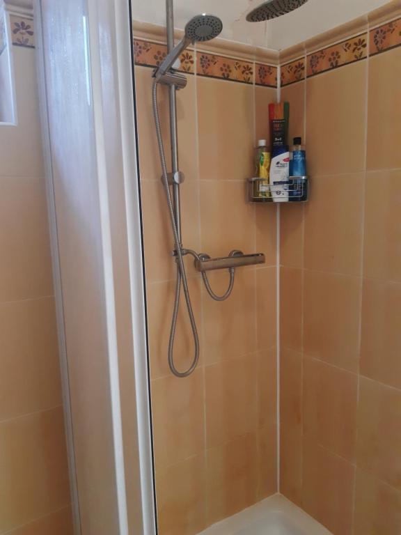 a shower with a shower head in a bathroom at U paní malířky in Valtice