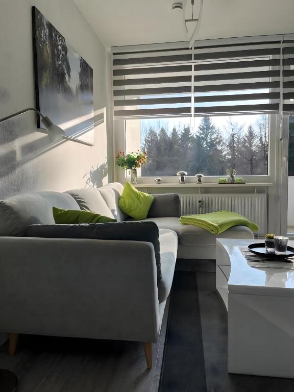 ゴスラーにあるFerienwohnung deluxeのソファと大きな窓のあるリビングルーム