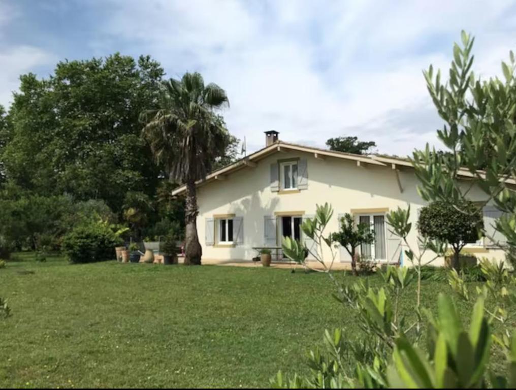 a white house with a palm tree in the yard at Vieille House in Saint-Geours-de-Maremne