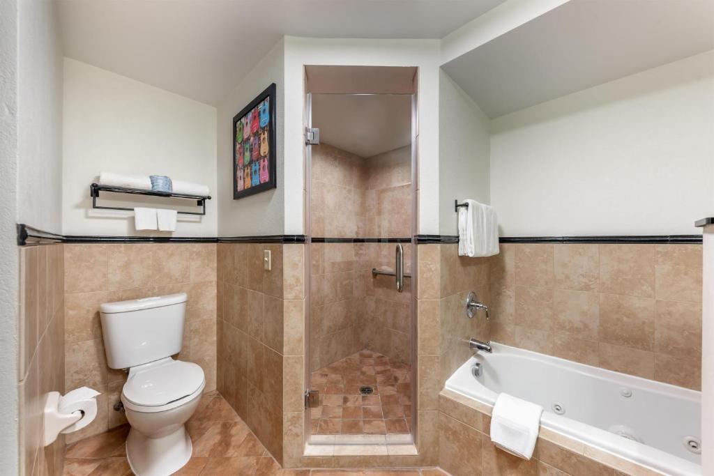 Drury Plaza Hotel San Antonio North Stone Oak photo