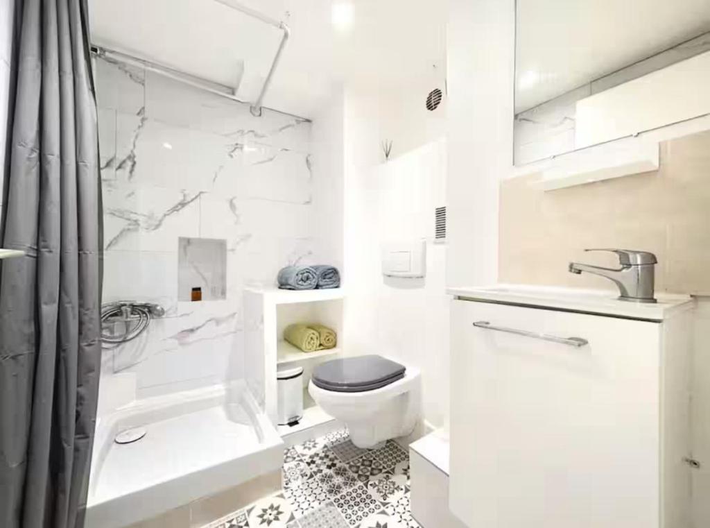 ニースにあるLe loft du canalのトイレと洗面台を備えた白いバスルーム