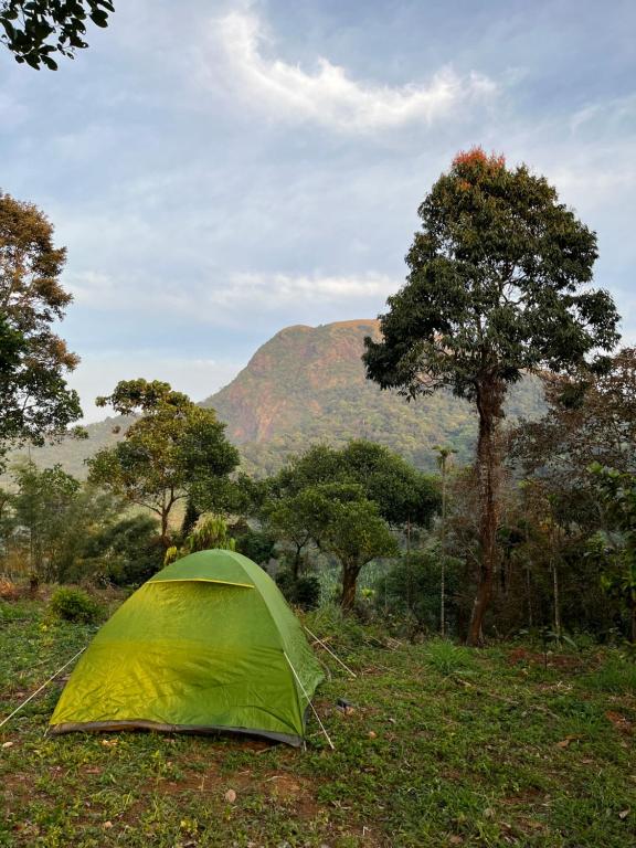 Una tienda de campaña verde en el césped con una montaña al fondo. en Tent Stay Paithalvillage, en Jāmb