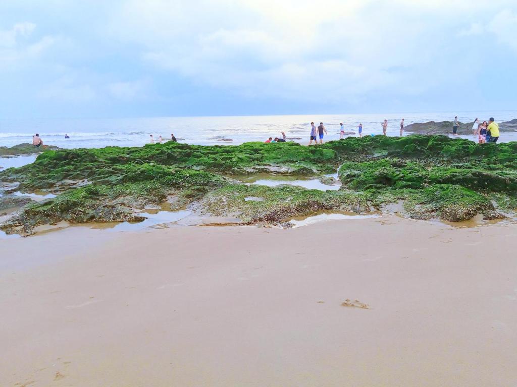 a group of people standing on a beach with algae at Hoàng Nga 2 Homestay in Phan Thiet