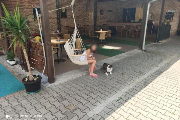 a young girl sitting in a hammock with a dog at Apartmán Hanka in Pardubice