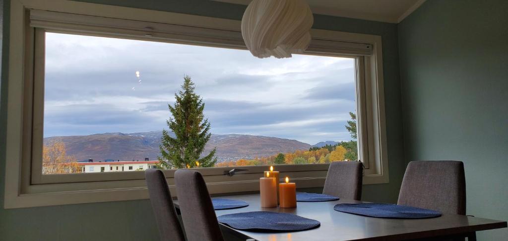 Panoramic northern lights on top of Tromsø island, Тромсе (оновлені ...