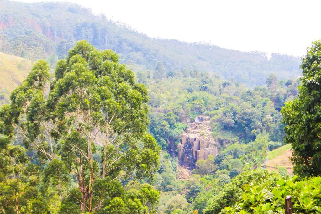 Secret View Homestay Ella - 14