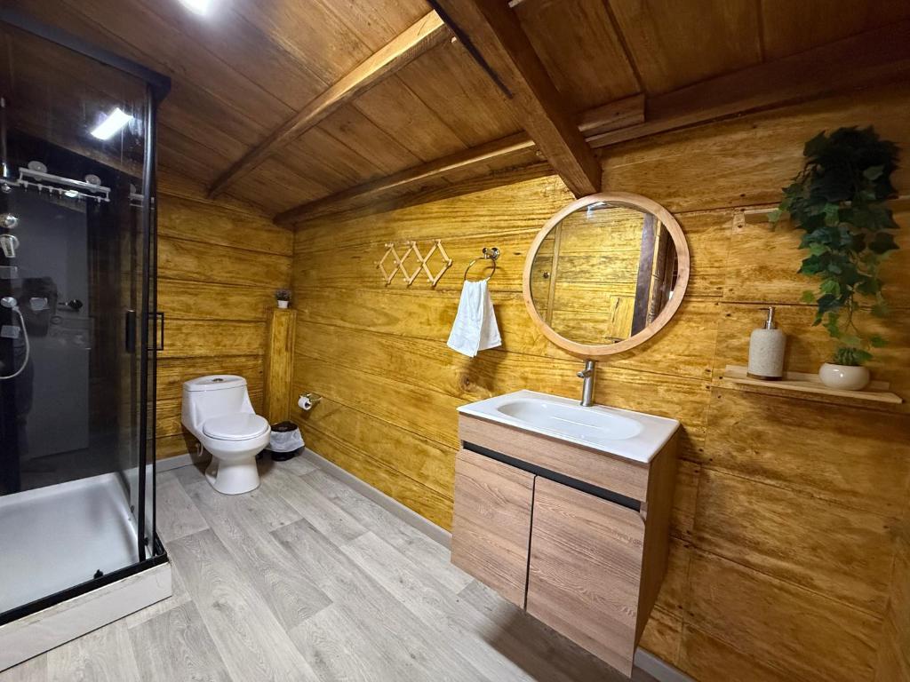 a bathroom with a toilet and a sink and a mirror at El Almendrón Beach Hostel in Santa Marta