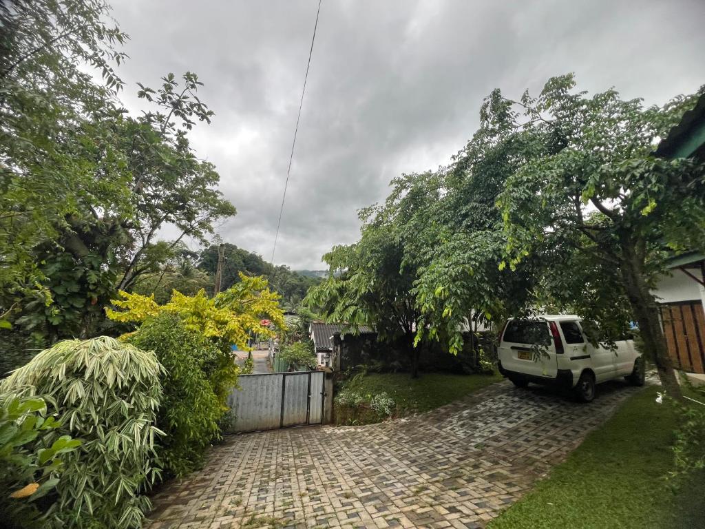 Κήπος έξω από το Serenique Greens