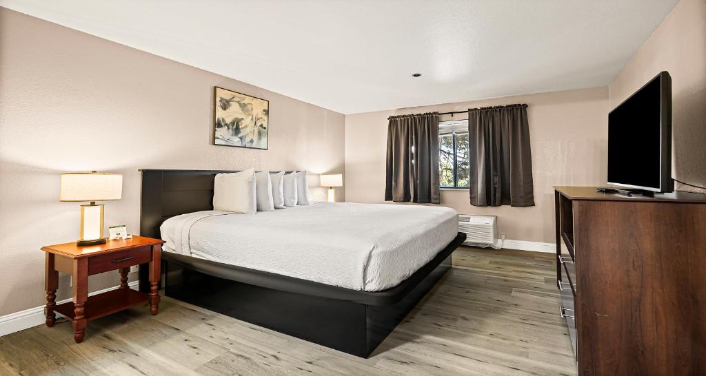 شقة KING WITH SOFA BED AND FULL KITCHEN - NON