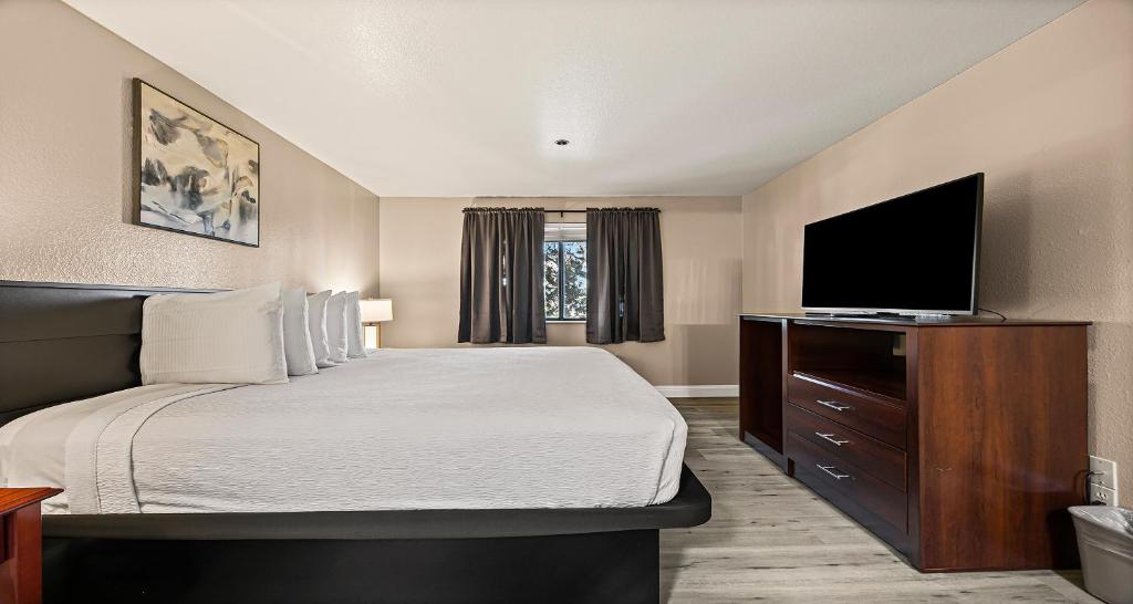 شقة KING WITH SOFA BED AND FULL KITCHEN - NON
