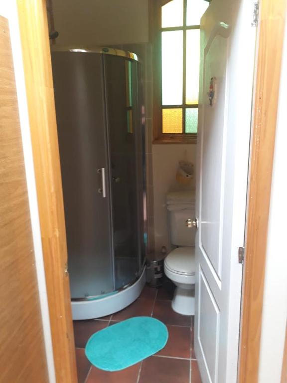 une salle de bain avec douche et toilettes dans l'établissement Apartamento 1, à Punta Arenas
