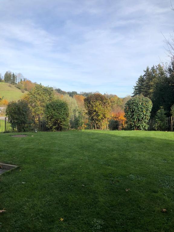 a large green field with trees in the background at Ferienwohnung Wanner in Amtzell