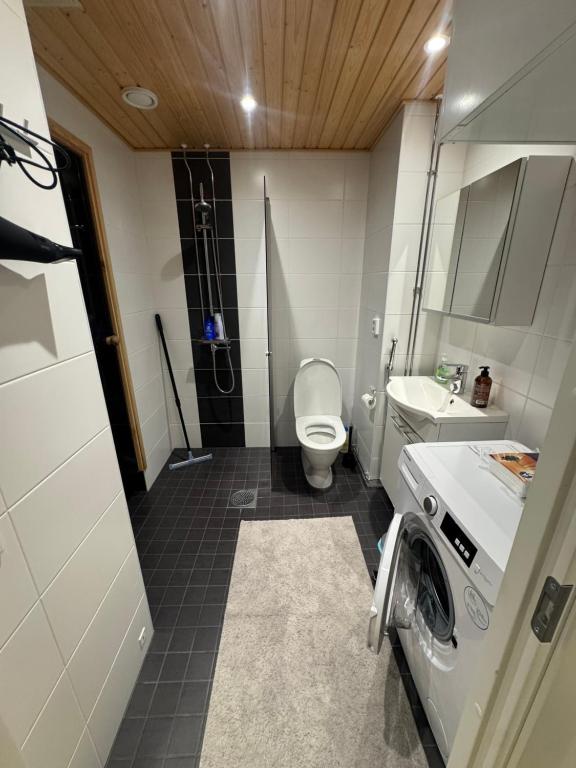 a small bathroom with a toilet and a sink at Lapland Apartments with sauna and free WiFi and parking in Rovaniemi