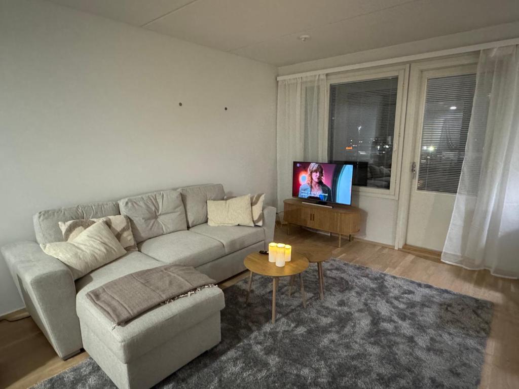 a living room with a couch and a flat screen tv at Lapland Apartments with private sauna, wifi and parking next to the railway station in Rovaniemi