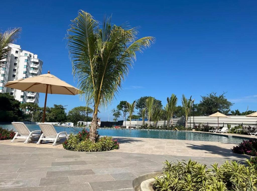 a palm tree and two chairs and a swimming pool at Aparta Suite en Santamarina - Escápate al Caribe in Santa Marta