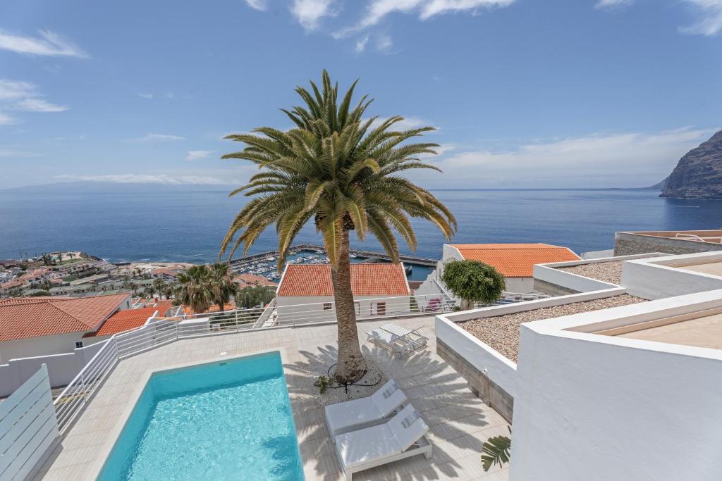 eine Villa mit einer Palme und einem Pool in der Unterkunft La Casa de Los Gigantes in Acantilado de los Gigantes