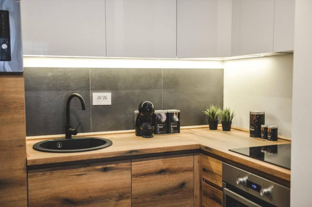 Kuchyň nebo kuchyňský kout v ubytování Apartmani Montis Zlatibor