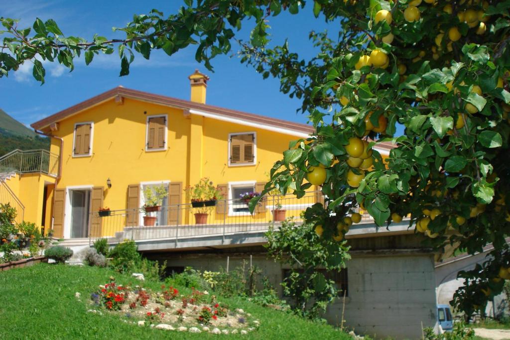 ein gelbes Haus mit einem Orangenbaum in der Unterkunft Secondo Monolocale Ovest in Dolcè