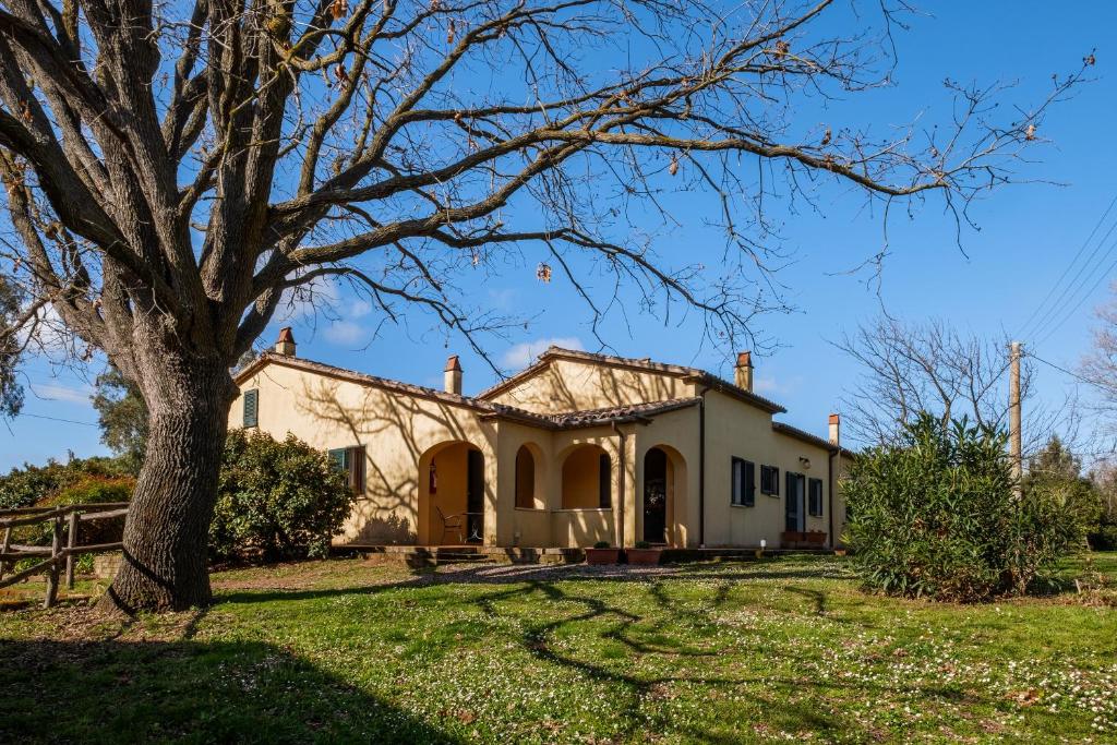 an old house with a tree in the yard at Rosaspina - Appartamento 1 in Capalbio