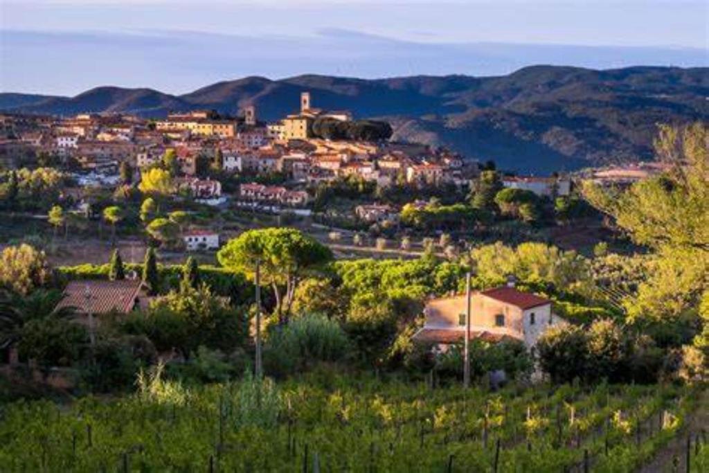 a town on a hill with houses and trees at L'incanto in Montescudaio