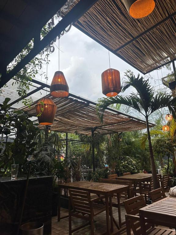 eine Terrasse mit Tischen, Stühlen und Sonnenschirmen in der Unterkunft La Selva Hostel in Mexiko-Stadt