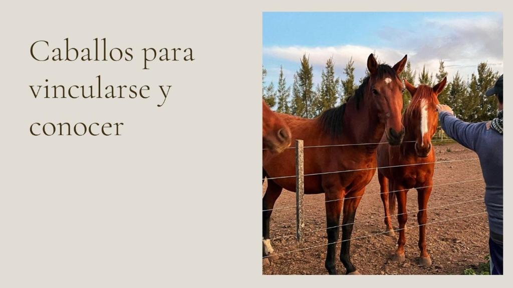 Hostel de campo La Providencia