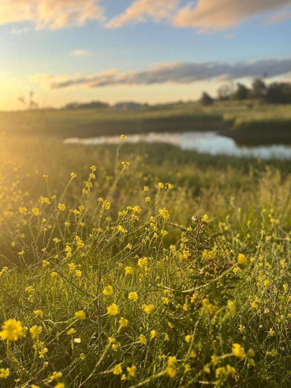 Hostel de campo La Providencia