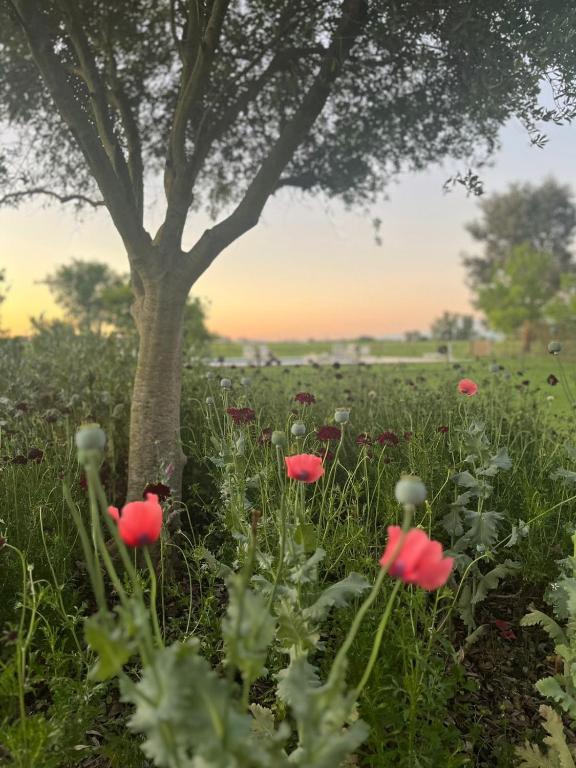 Hostel de campo La Providencia