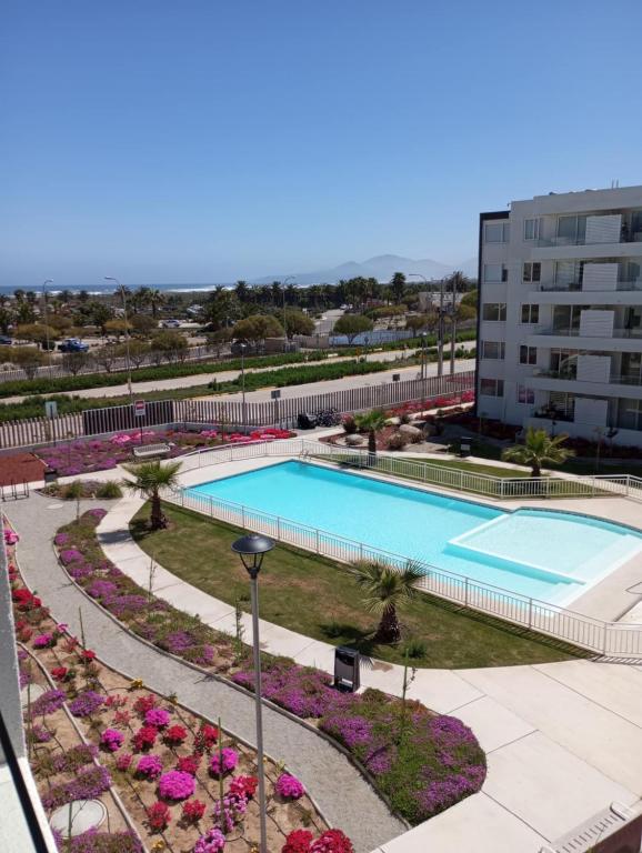 an overhead view of a swimming pool at a hotel at Jardines del Pacifico in El Cerrillo