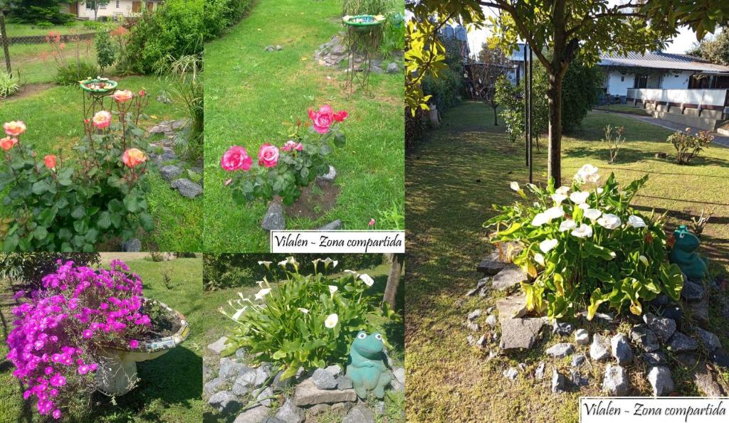 Zahrada ubytování Complejo Departamentos Vilalen