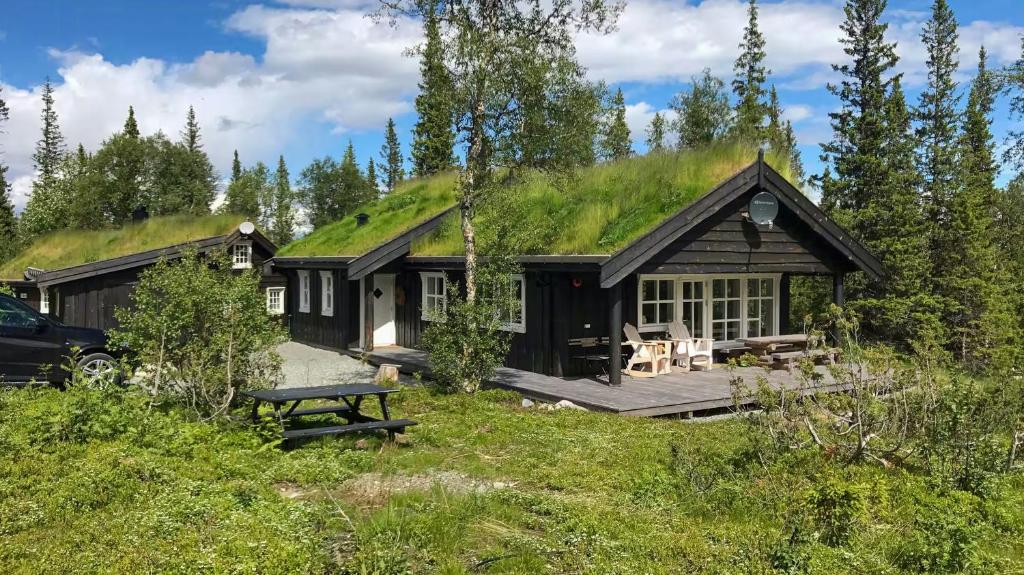 une maison avec un toit végétalisé et un banc devant dans l'établissement Mountain Cabin With Views Of Snasahøgarna, à Rundhögen
