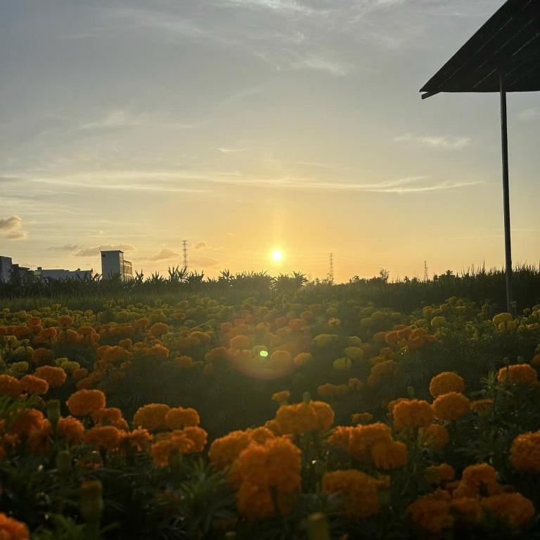 Η ανατολή ή δύση του ηλίου όπως φαίνεται από αυτό το ξενοδοχείο διαμερισμάτων ή από εκεί κοντά