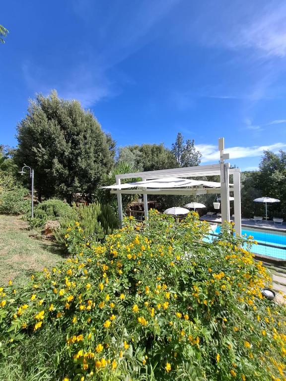 Agriturismo e Glamping Serraiola Alta - Studio