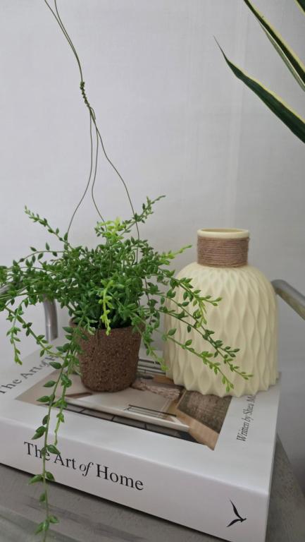 a plant and a vase on top of a box at Stay jongno238 in Seoul