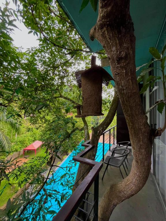 アビッサウェッラにあるHeaven De Fountainの木の家からプールを望む