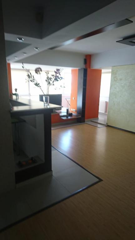 a room with a table with a plant in it at Apartament modern 3 camere ultracentral McDonalds Orange in Craiova
