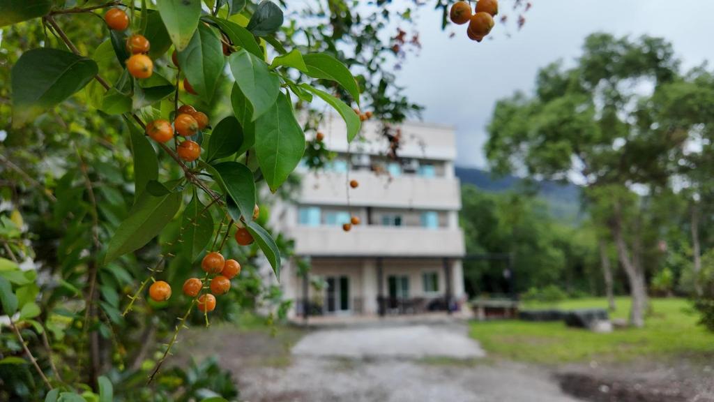 an orange tree with a building in the background at 樹海翠湖 in T'ung-ko