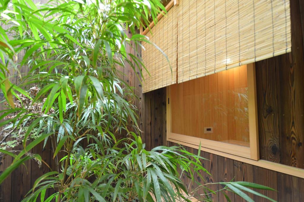 Rinn Nishiwakamatsu外面的花园