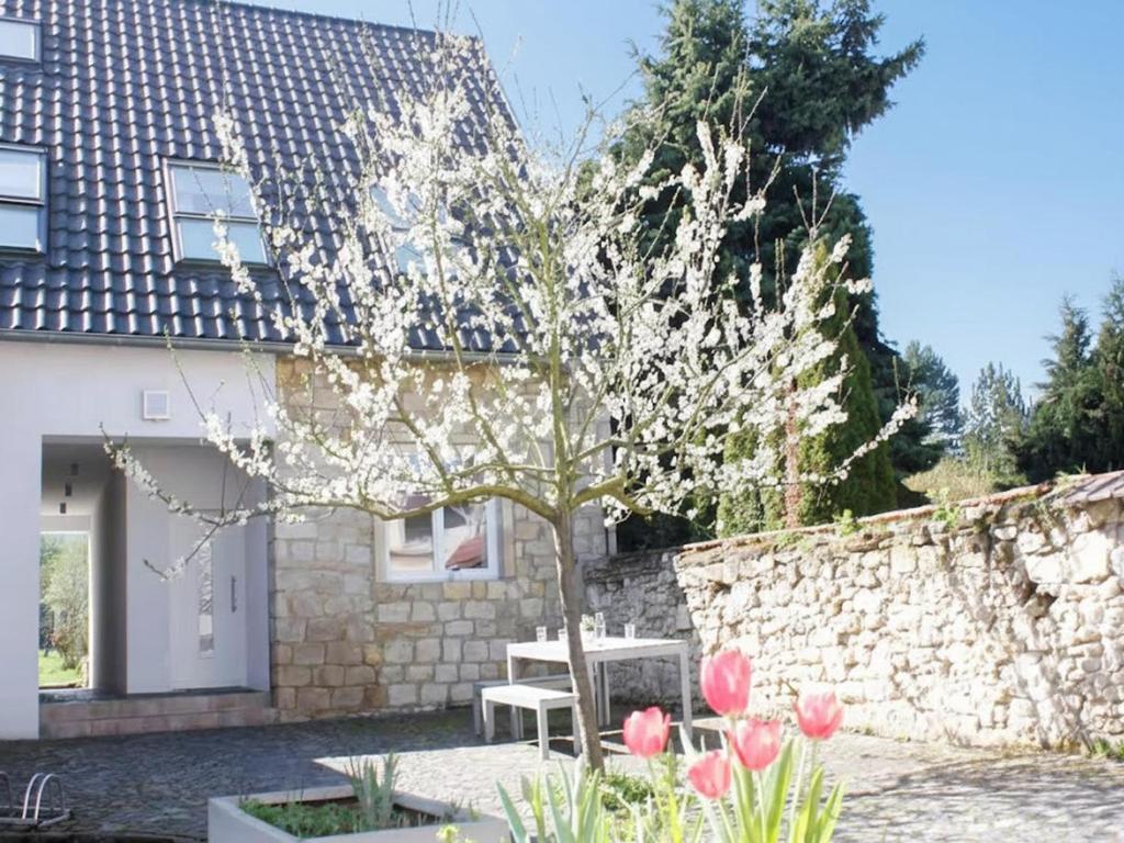 Zahrada ubytování Hofhaus Land-Idylle in der Stadt